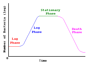 cell growth graph