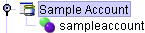 select Sample Account