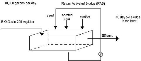 What causes an overloaded wastewater system?