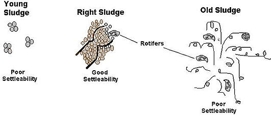 What Is A Sludge Holding Tank; Why Are They Used?