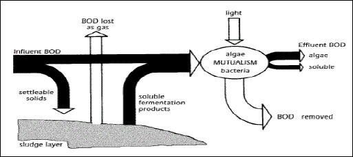 Biblio:Enhancement of overloaded waste stabilization ponds using