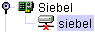 Disconnected Siebel node