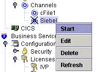 Start Siebel Channel