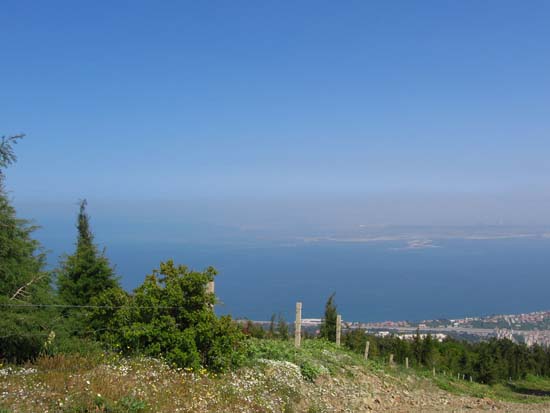 IMG_0046
