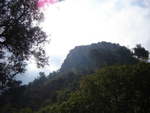 DSC03159