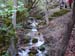 DSC03200