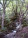 DSC03201