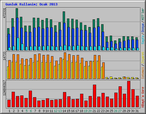 Gunluk Kullanim: Ocak 2013