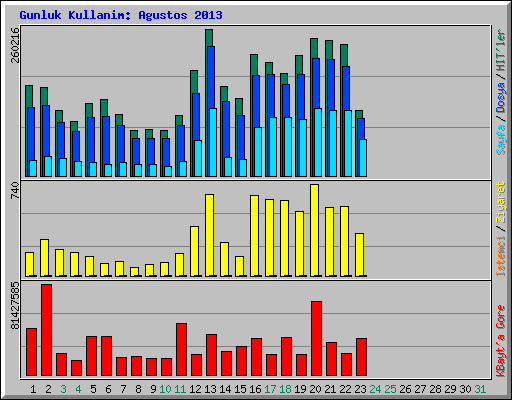 Gunluk Kullanim: Agustos 2013