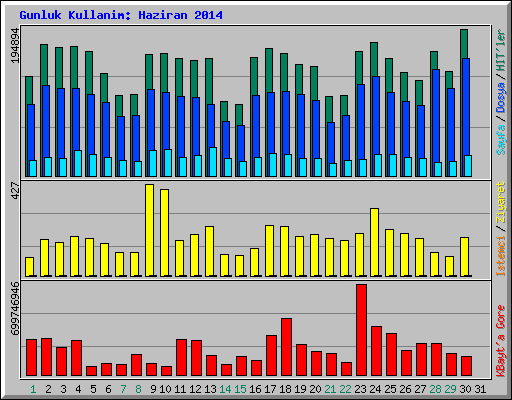 Gunluk Kullanim: Haziran 2014