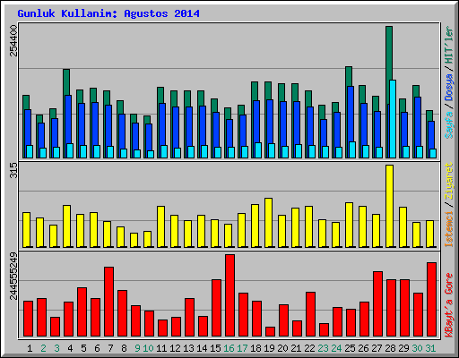 Gunluk Kullanim: Agustos 2014