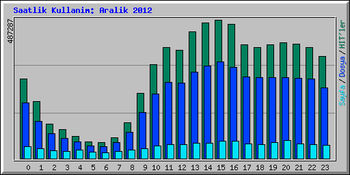 Saatlik Kullanim: Aralik 2012