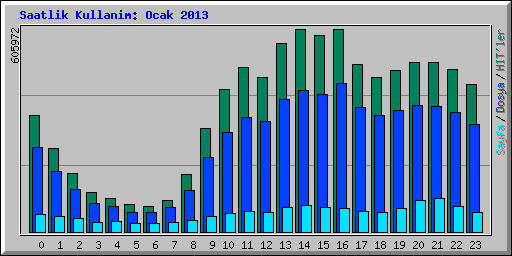 Saatlik Kullanim: Ocak 2013