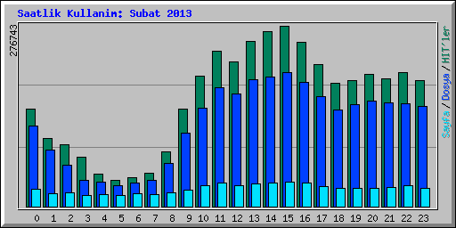 Saatlik Kullanim: Subat 2013