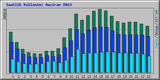 Saatlik Kullanim: Haziran 2013