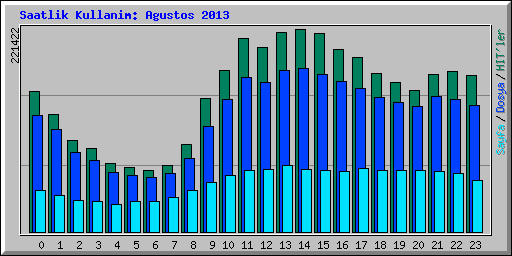 Saatlik Kullanim: Agustos 2013