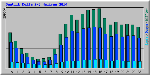 Saatlik Kullanim: Haziran 2014