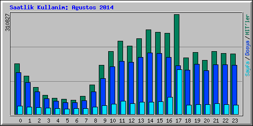 Saatlik Kullanim: Agustos 2014