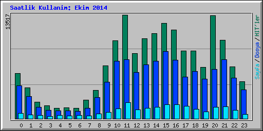 Saatlik Kullanim: Ekim 2014