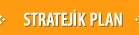 stratejik plan