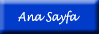 Ana Sayfa
